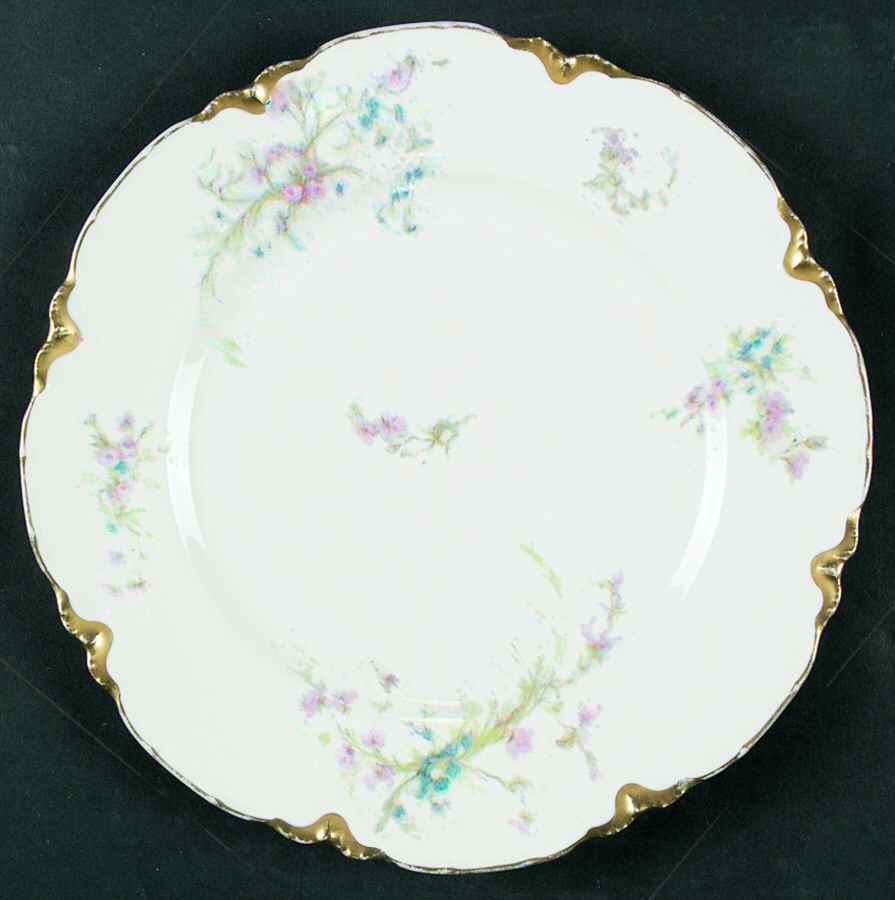 Schleiger 78-8 Dinner Plate by Haviland-1