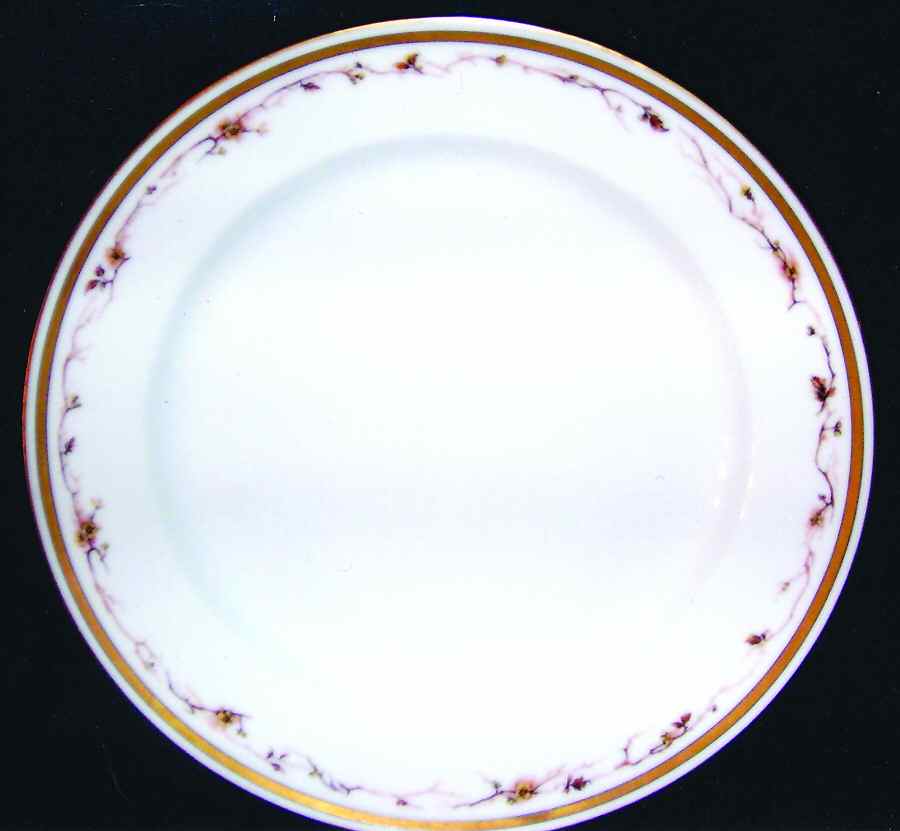 H3292 Dinner Plate by Haviland-1