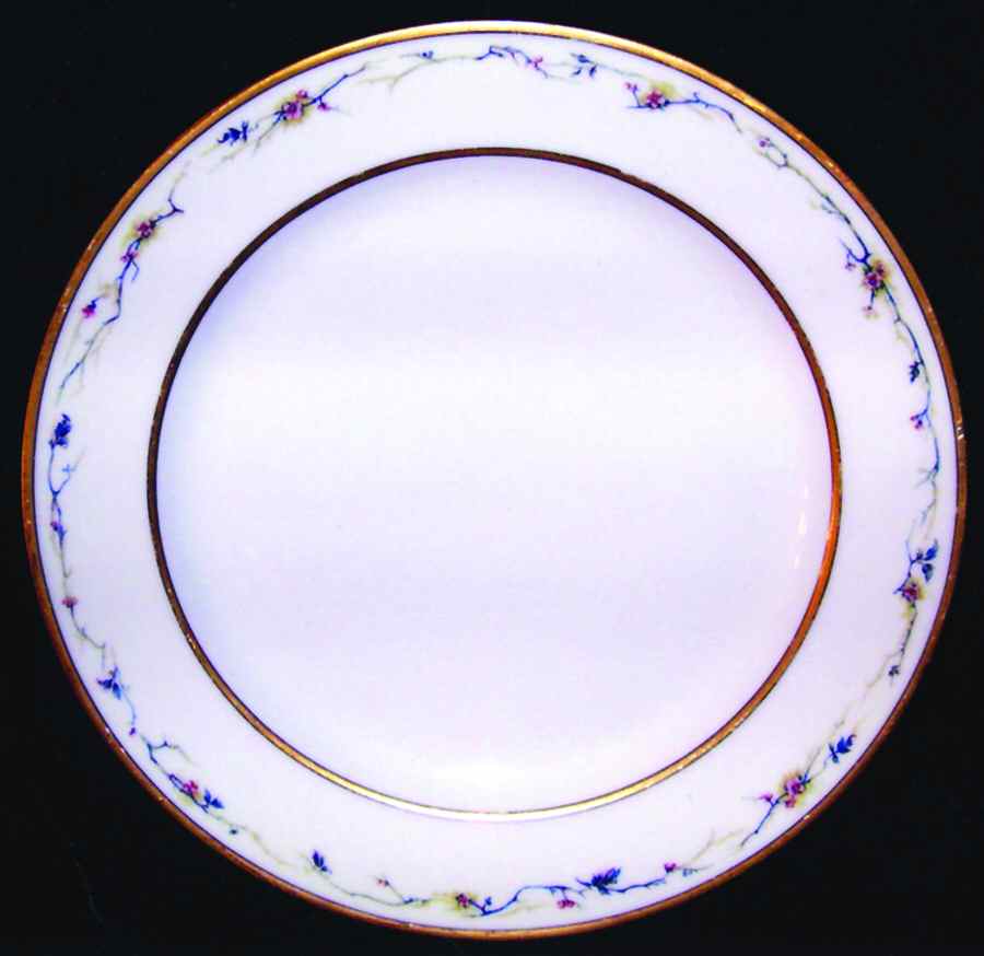 H3293 Dinner Plate by Haviland-1