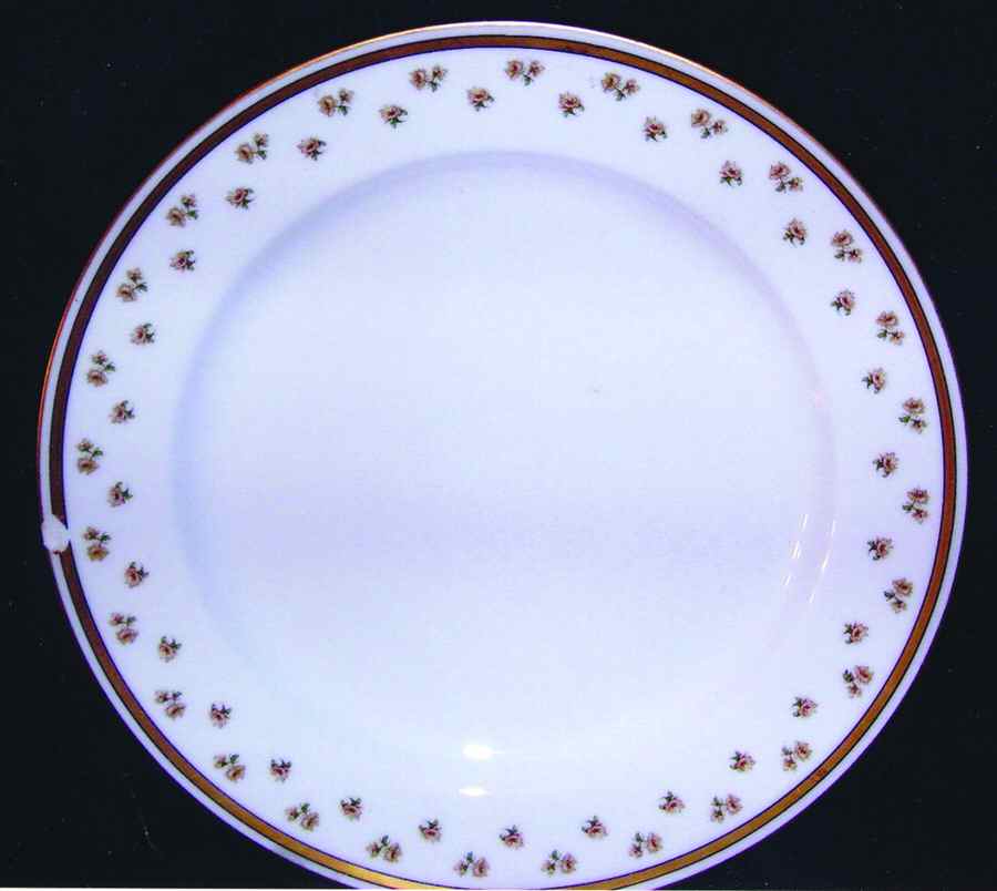 H3294 Dinner Plate by Haviland-1