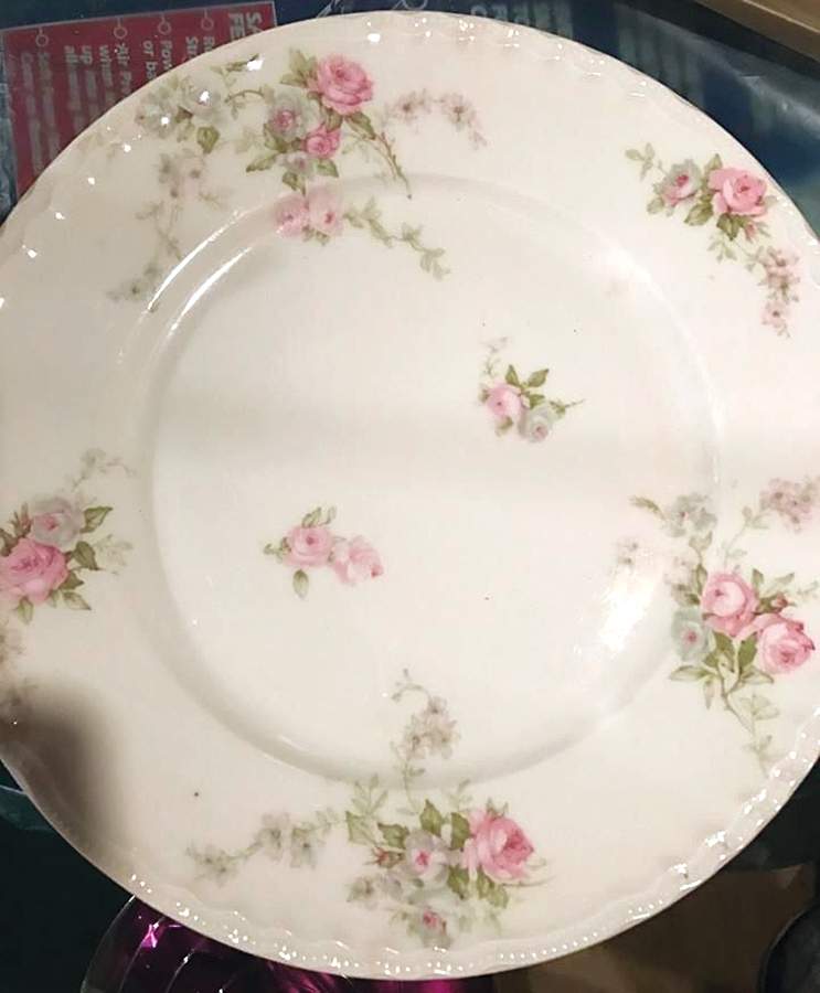Schleiger 137-4 Dinner Plate by Haviland-1