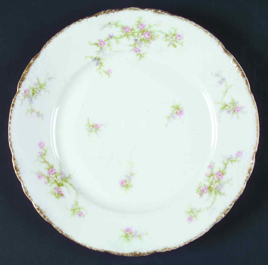 H3297 Dinner Plate by Haviland-1