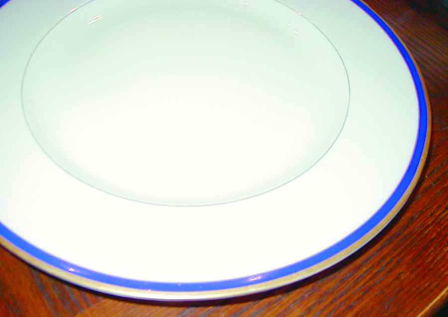 H3299 Dinner Plate by Haviland-1