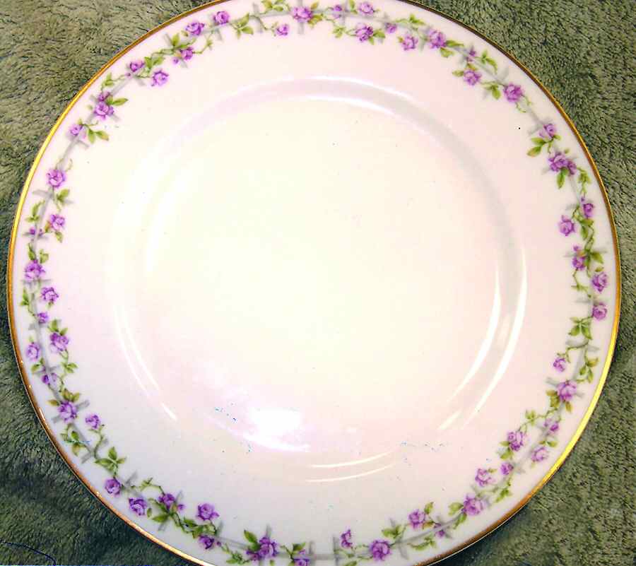 H3300 Dinner Plate by Haviland-1