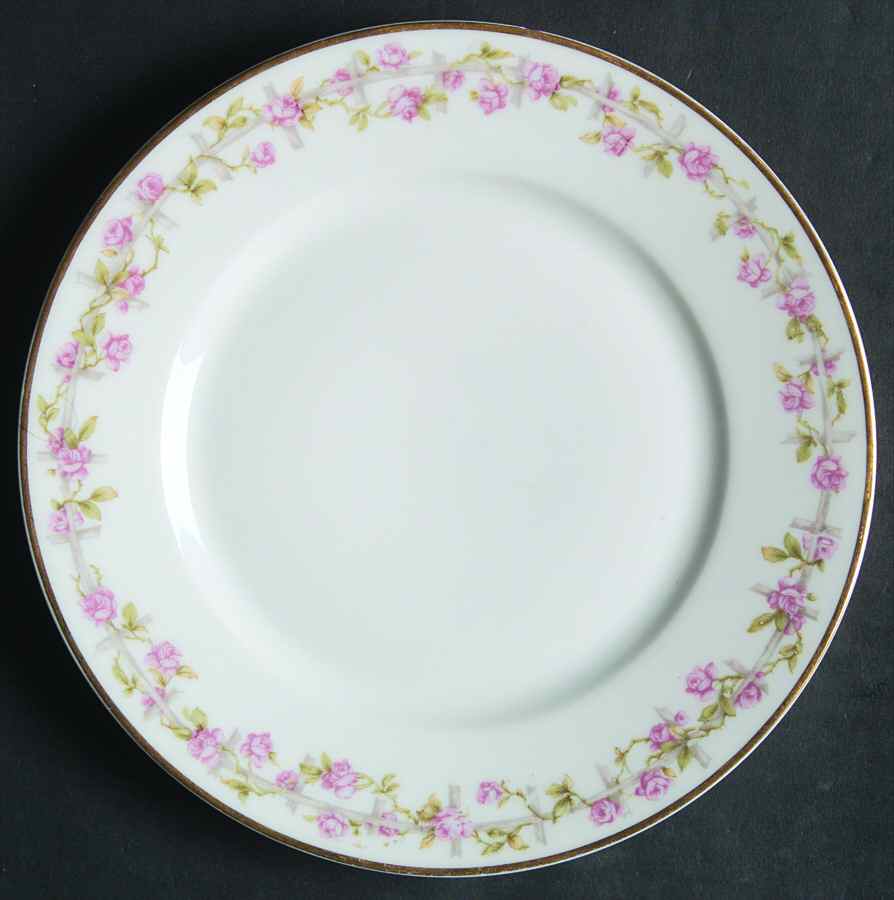 H3300 Salad Plate by Haviland-1