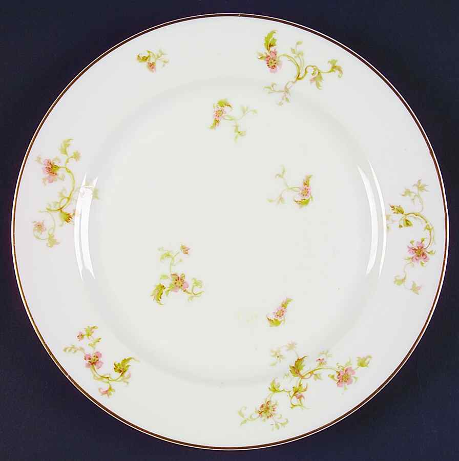 Schleiger 905-3 Dinner Plate by Haviland-1