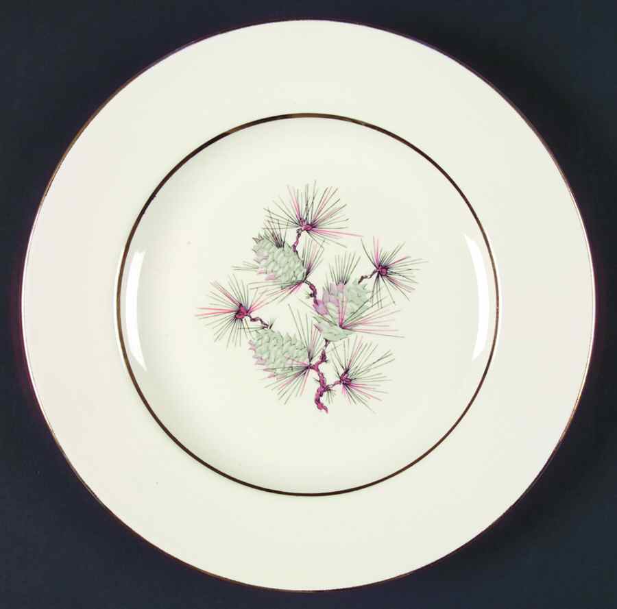 HLC2513 Dinner Plate by Homer Laughlin -1