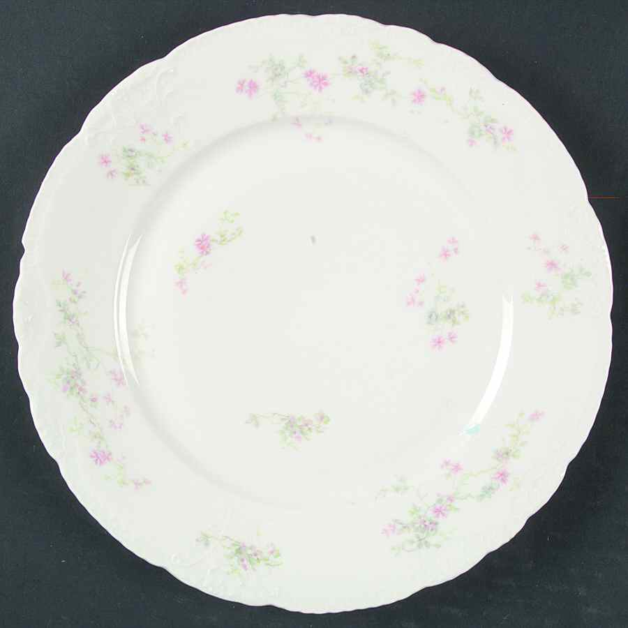 H3318 Dinner Plate by Haviland-1