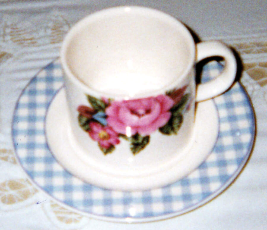 SUMMER GINGHAM Flat Cup & Saucer Set by Horchow-1