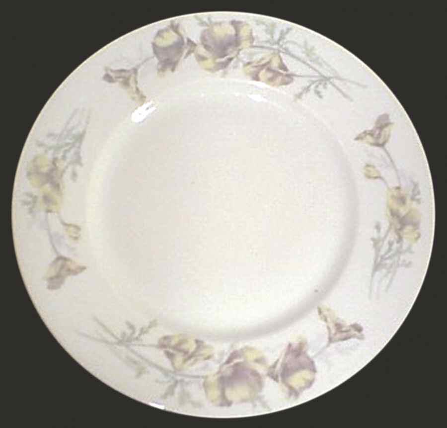 HBU11 Dinner Plate by Hub China-1