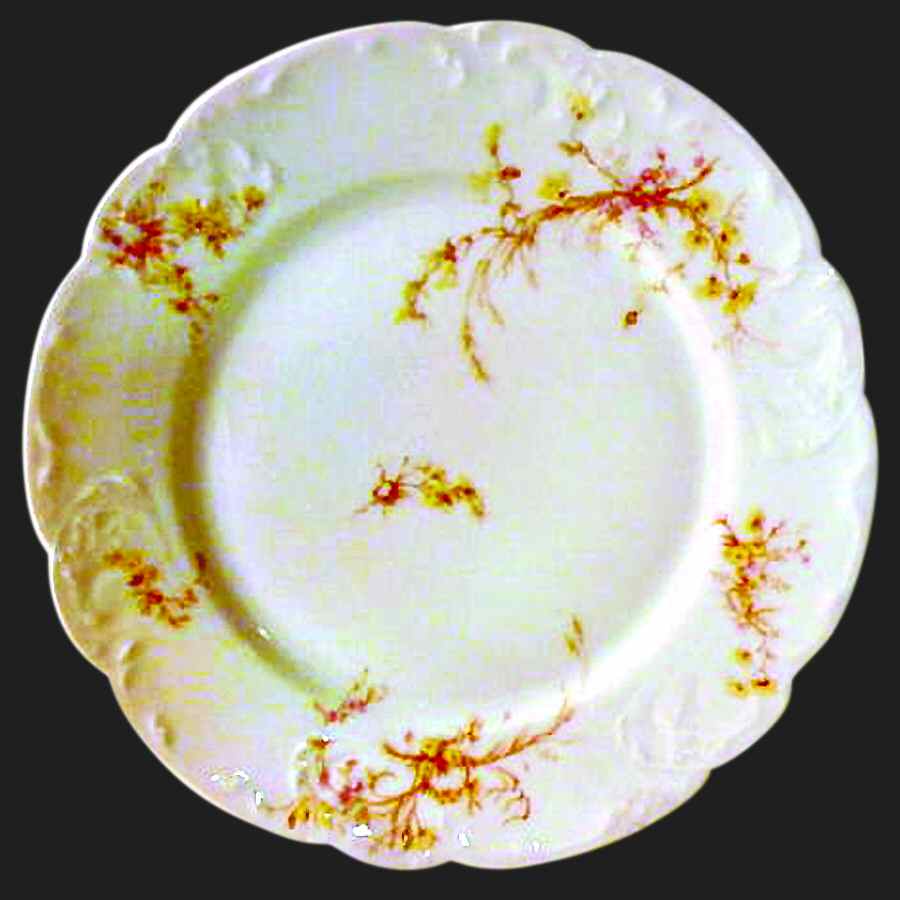 Schleiger 78-10 Luncheon Plate by Haviland-1
