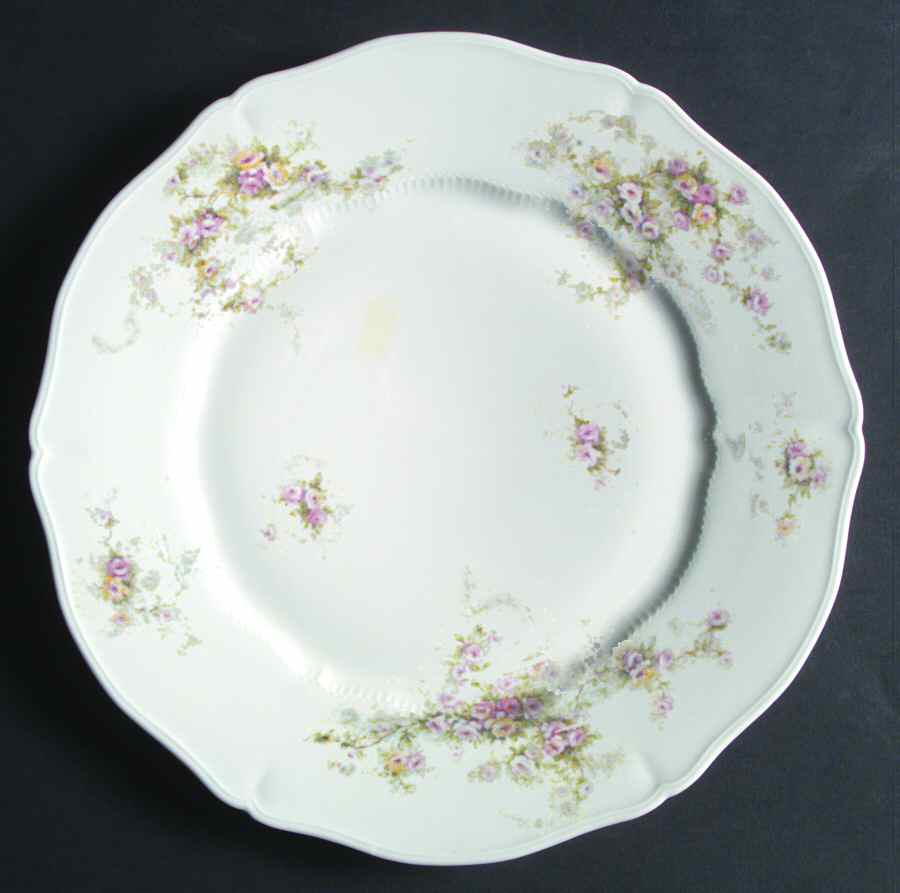 Schleiger 149-12 Dinner Plate by Haviland-1