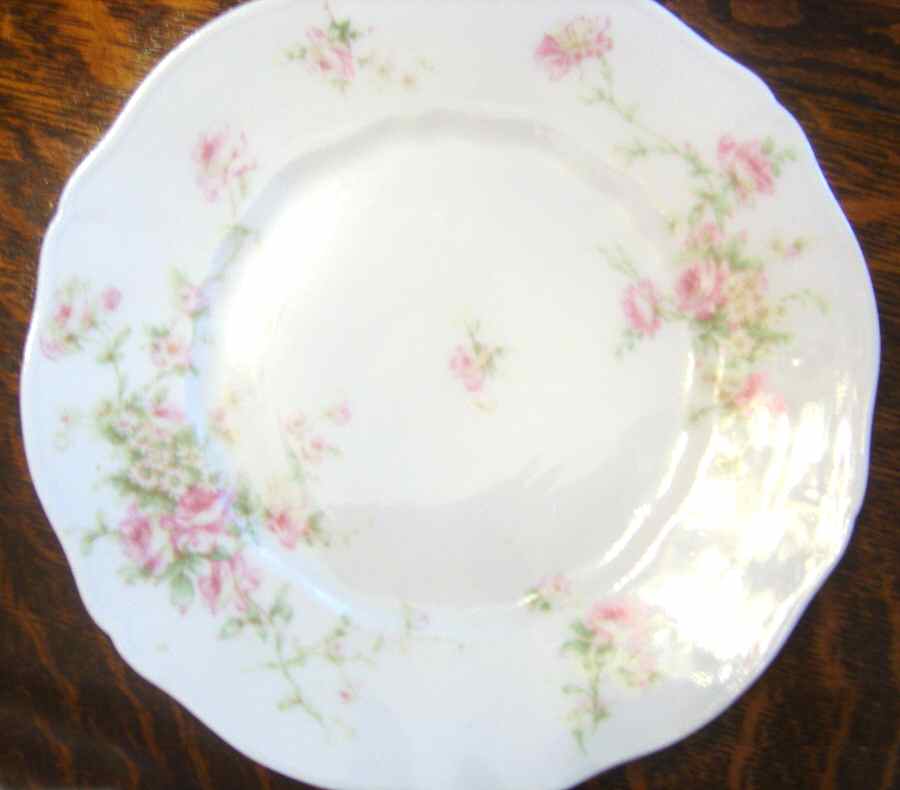 Schleiger 840-8 Dinner Plate by Haviland-1