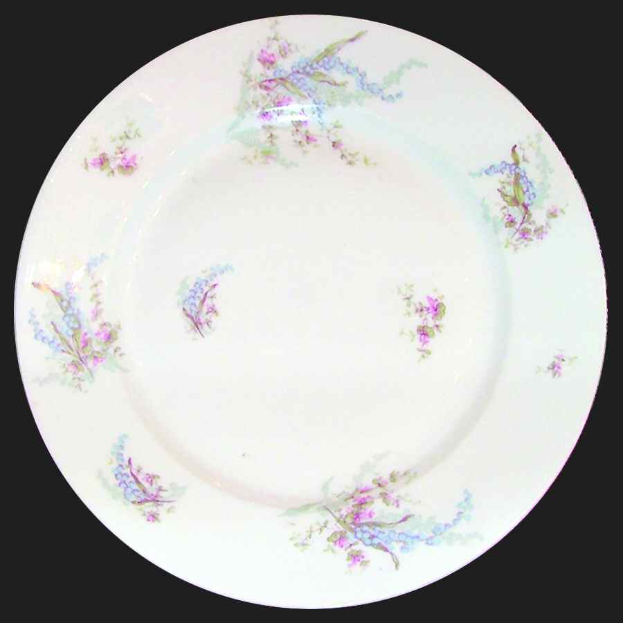 H3326 Dinner Plate by Haviland-1