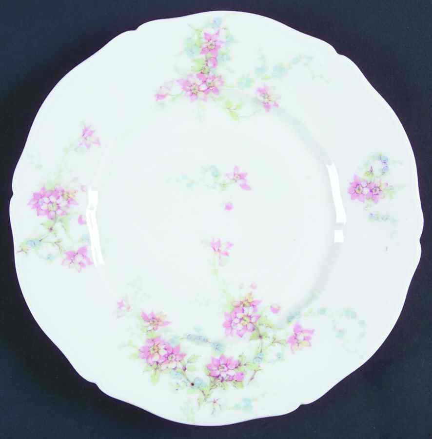 Schleiger 1014-16 Salad Plate by Haviland-1