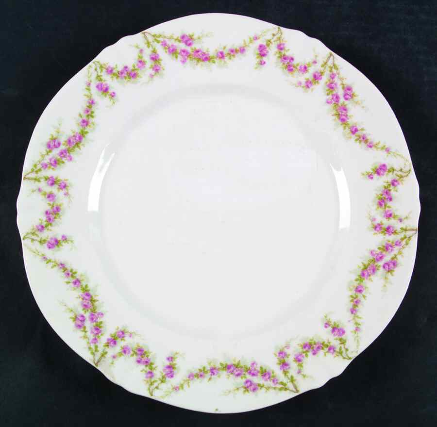 Schleiger 145-6 Dinner Plate by Haviland-1
