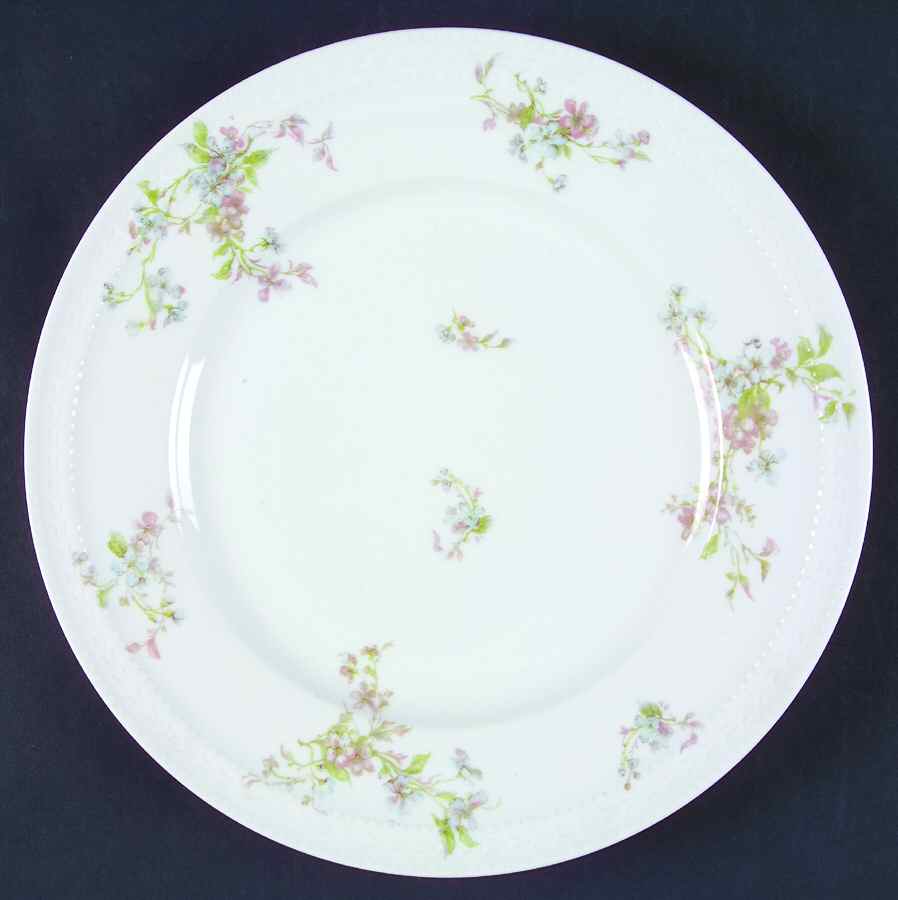 H3339 Dinner Plate by Haviland-1