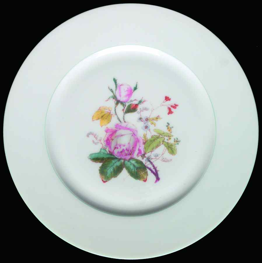 H3342 Dinner Plate by Haviland-1