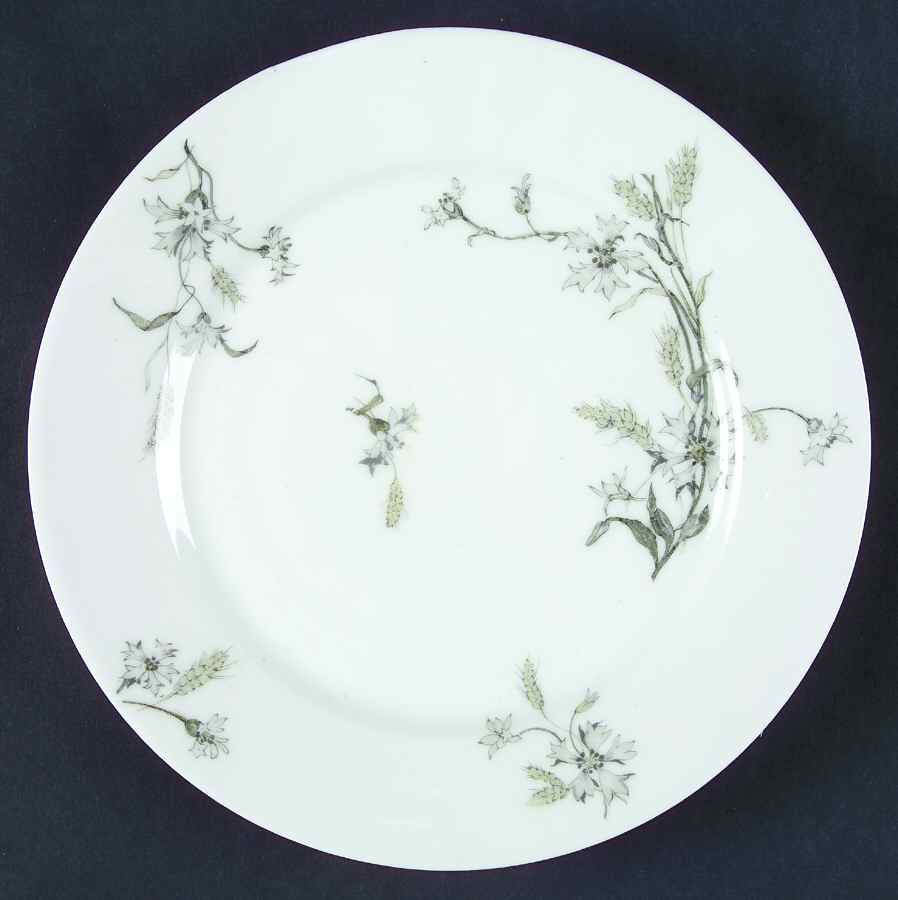 Schleiger 73-7 Salad Plate by Haviland-1