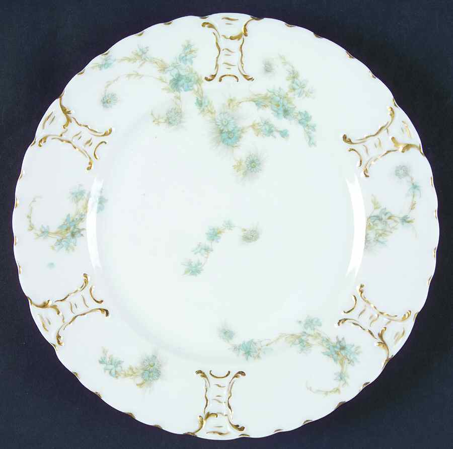 Schleiger 247-4 Salad Plate by Haviland-1