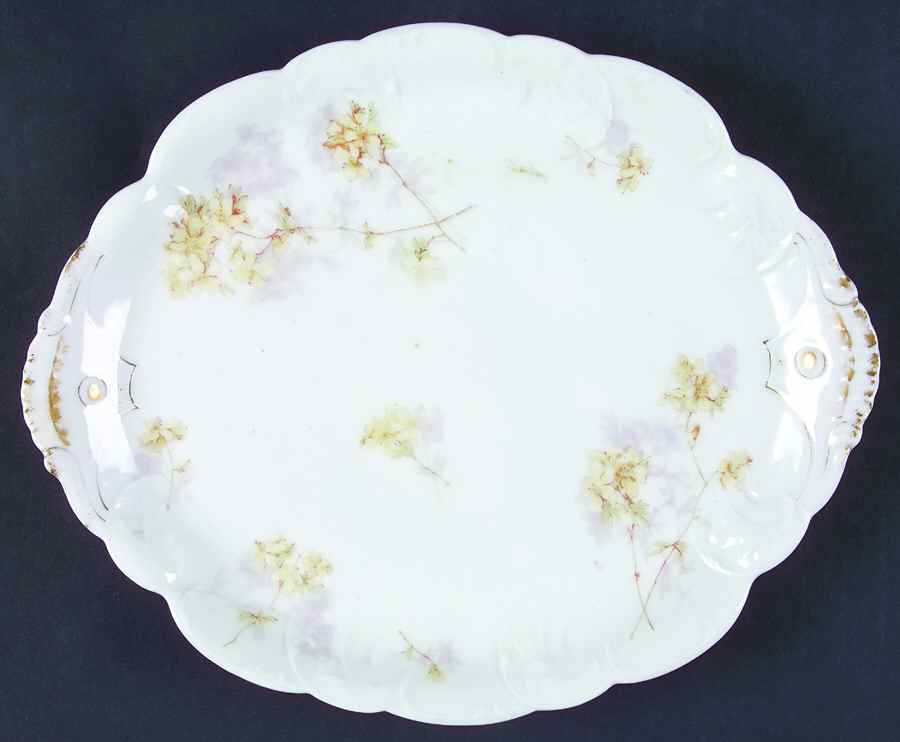 Schleiger 83-3 10" Oval Serving Platter by Haviland-1