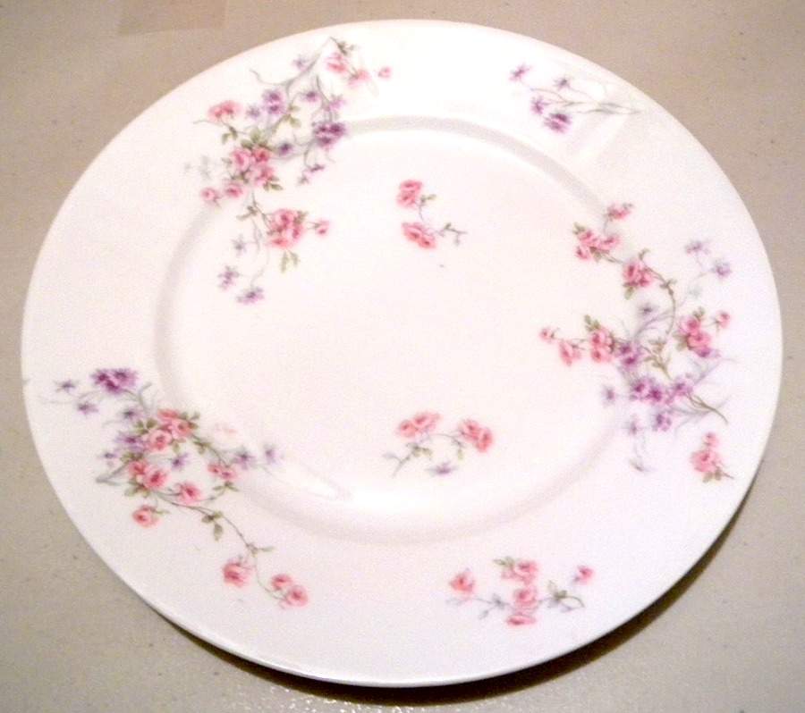 Schleiger 309-6 Dinner Plate by Haviland-1