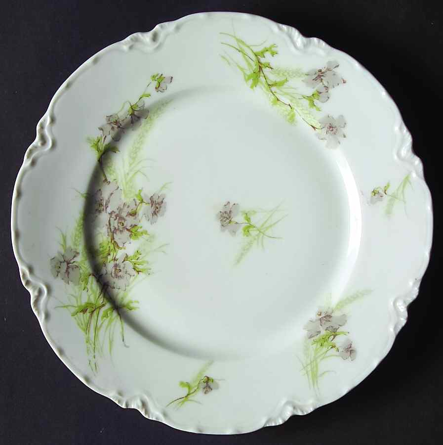 Schleiger 254-5 Salad Plate by Haviland-1
