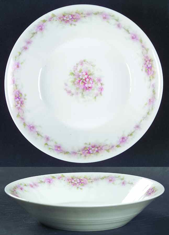 Schleiger 601-3 Fruit/Dessert (Sauce) Bowl by Haviland-1