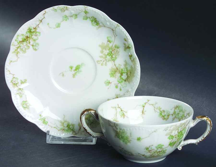 Schleiger 248-9 Flat Bouillon Cup & Saucer by Haviland-1