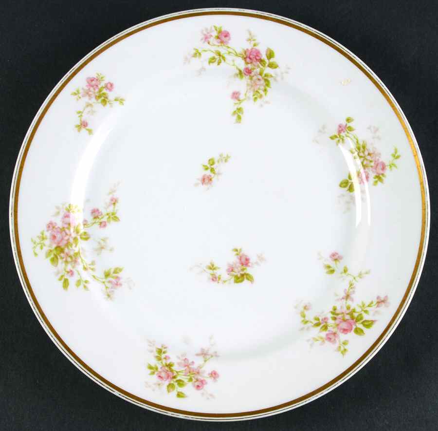 Schleiger 92-2 Dinner Plate by Haviland-1