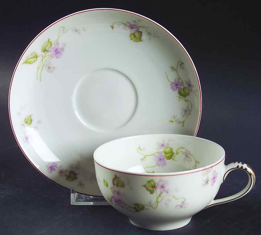 Schleiger 473-2 Flat Cup & Saucer Set by Haviland-1