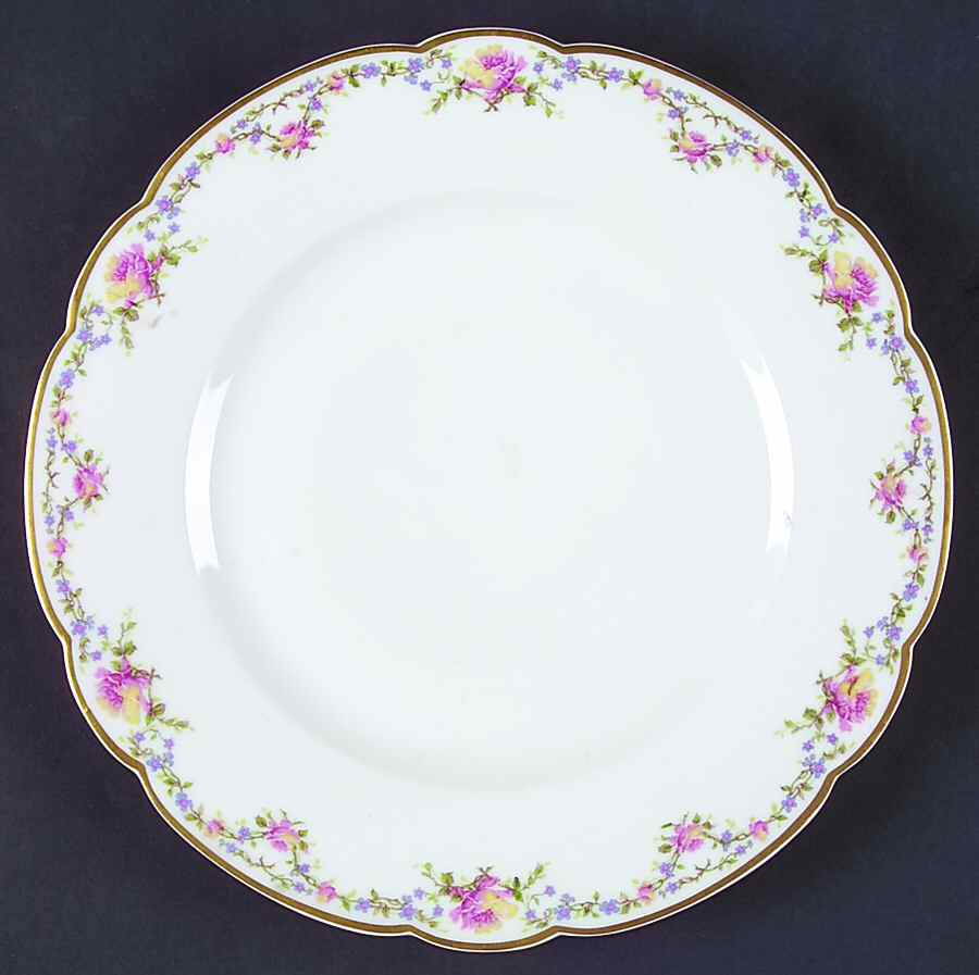 Schleiger 927-2 Dinner Plate by Haviland-1