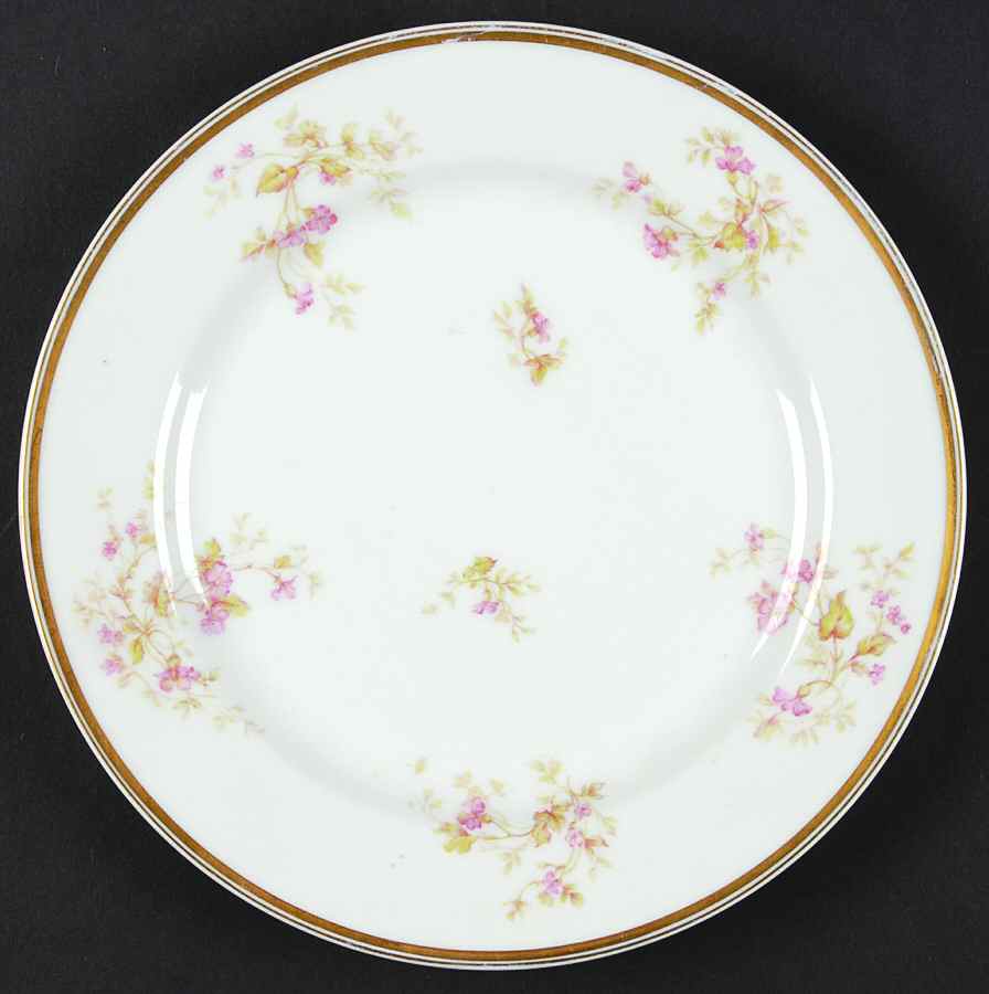 Schleiger 904-1 Luncheon Plate by Haviland-1