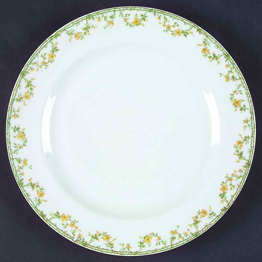 Schleiger 759-1 Dinner Plate by Haviland-1