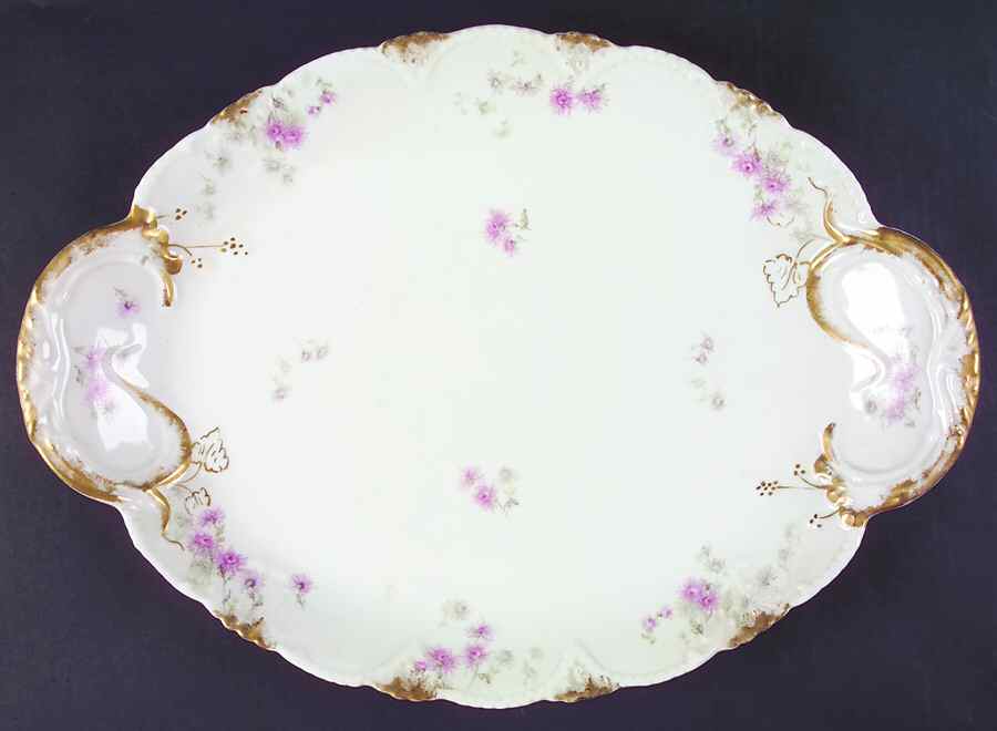 H3362 18" Oval Serving Platter by Haviland-1