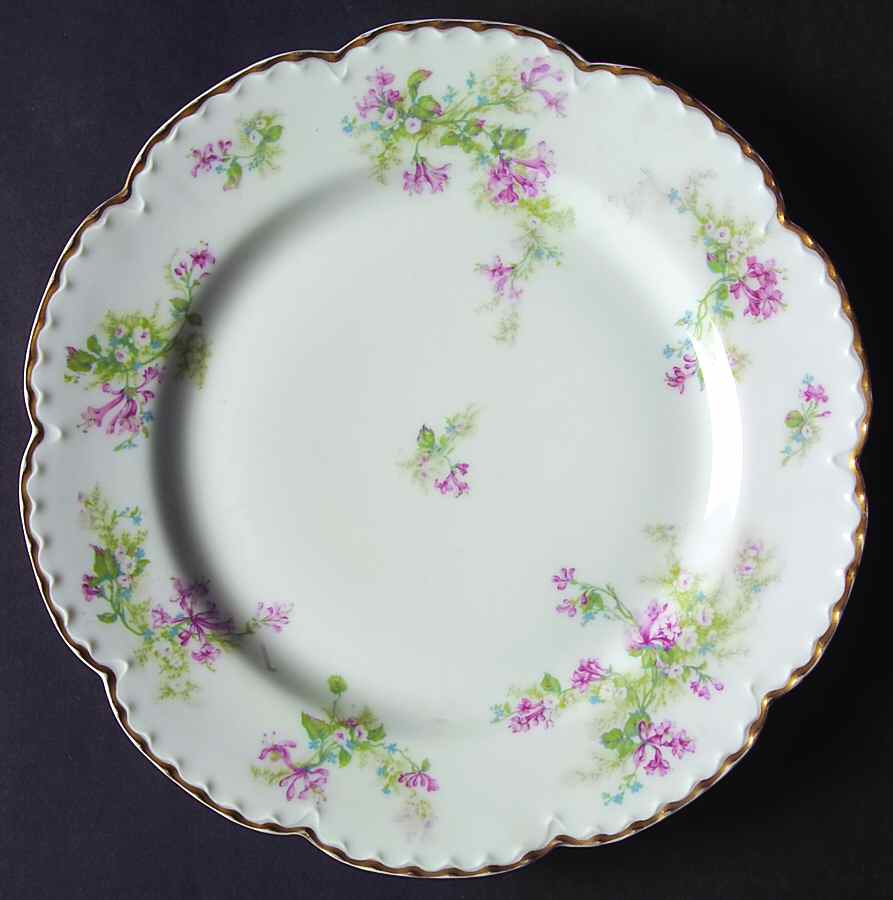 Schleiger 900-2 Dinner Plate by Haviland-1