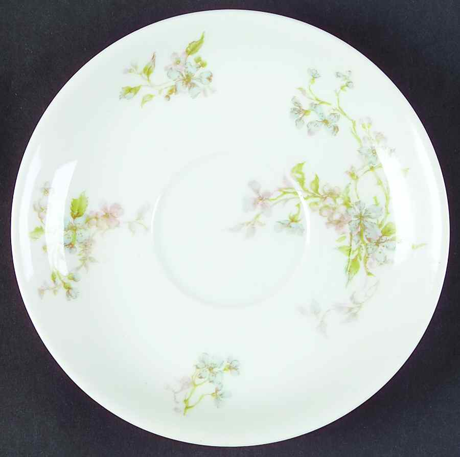 H3365 Saucer by Haviland-1