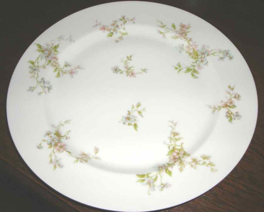 H3365 Dinner Plate by Haviland-1