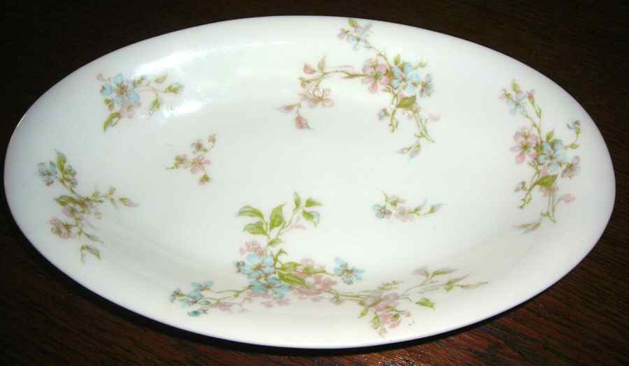 H3365 14" Oval Serving Platter by Haviland-1