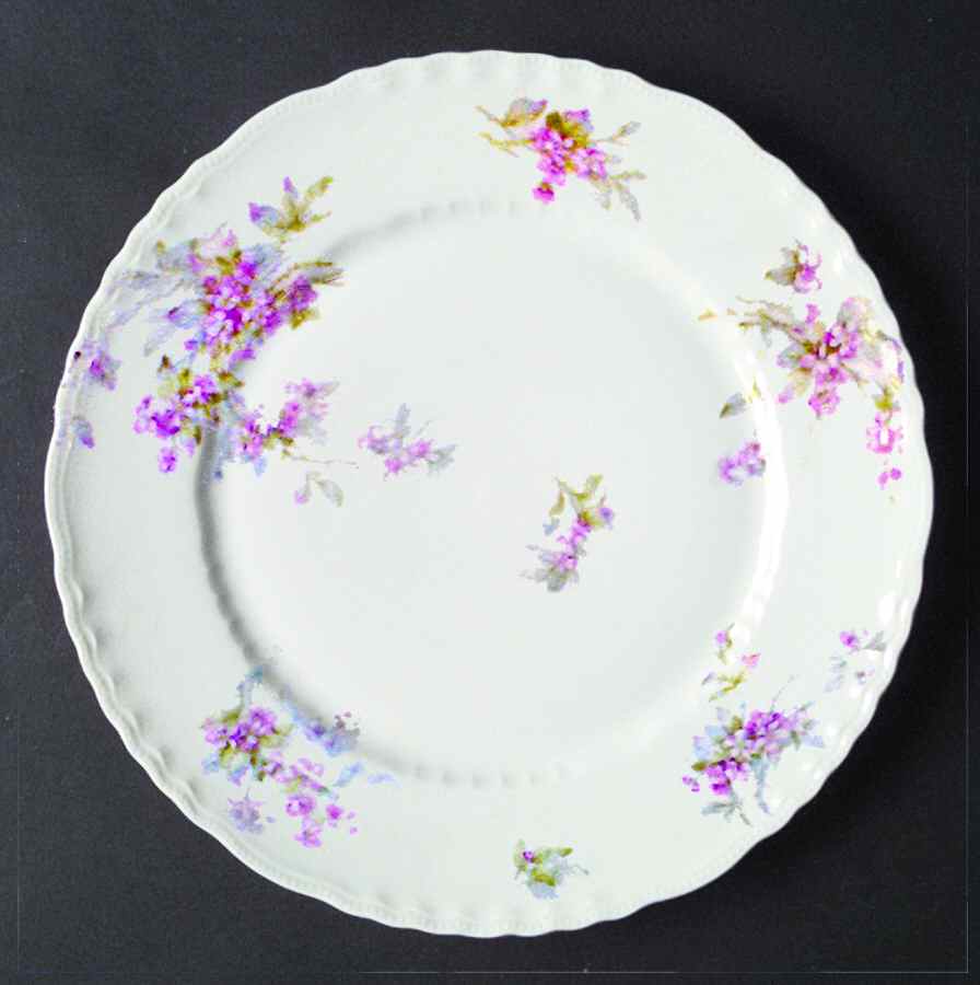H3366 Dinner Plate by Haviland-1