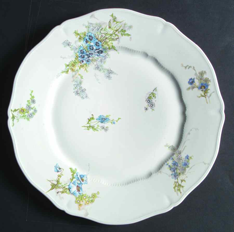 H3379 Dinner Plate by Haviland-1