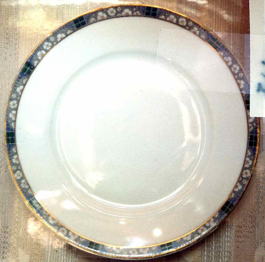 HUT1617 Dinner Plate by Hutschenreuther-1