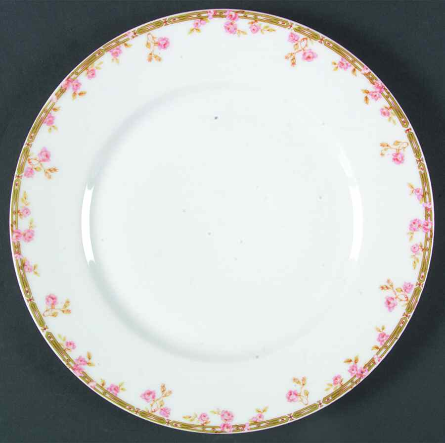 H3383 Dinner Plate by Haviland-1
