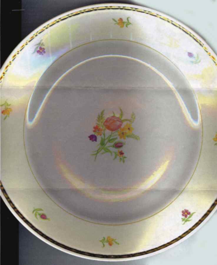 HLC2536 Dinner Plate by Homer Laughlin -1