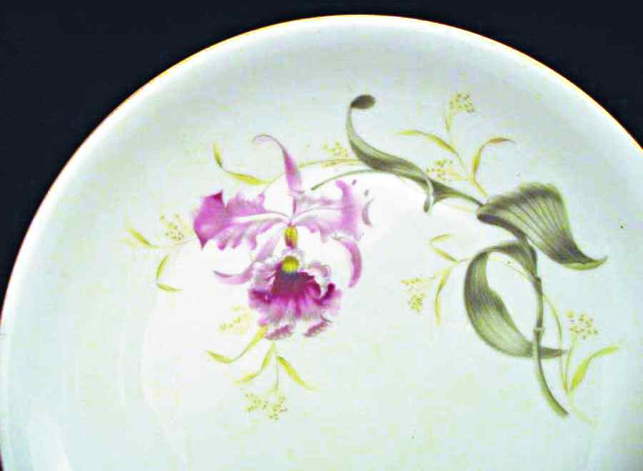 18474 Dinner Plate by Heinrich - H&C-1