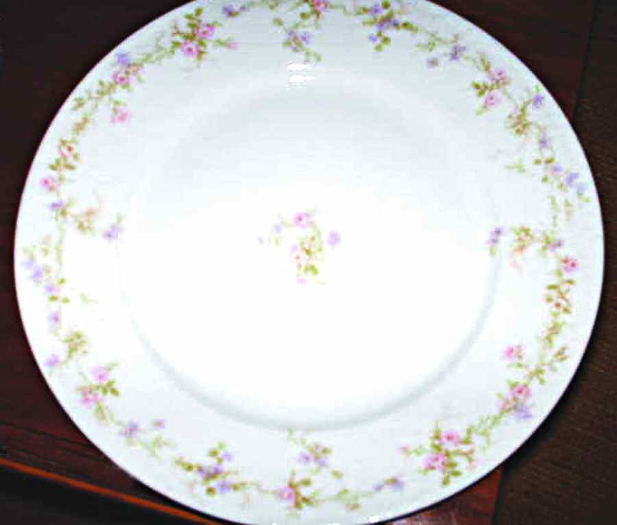Schleiger 1244-5 Dinner Plate by Haviland-1