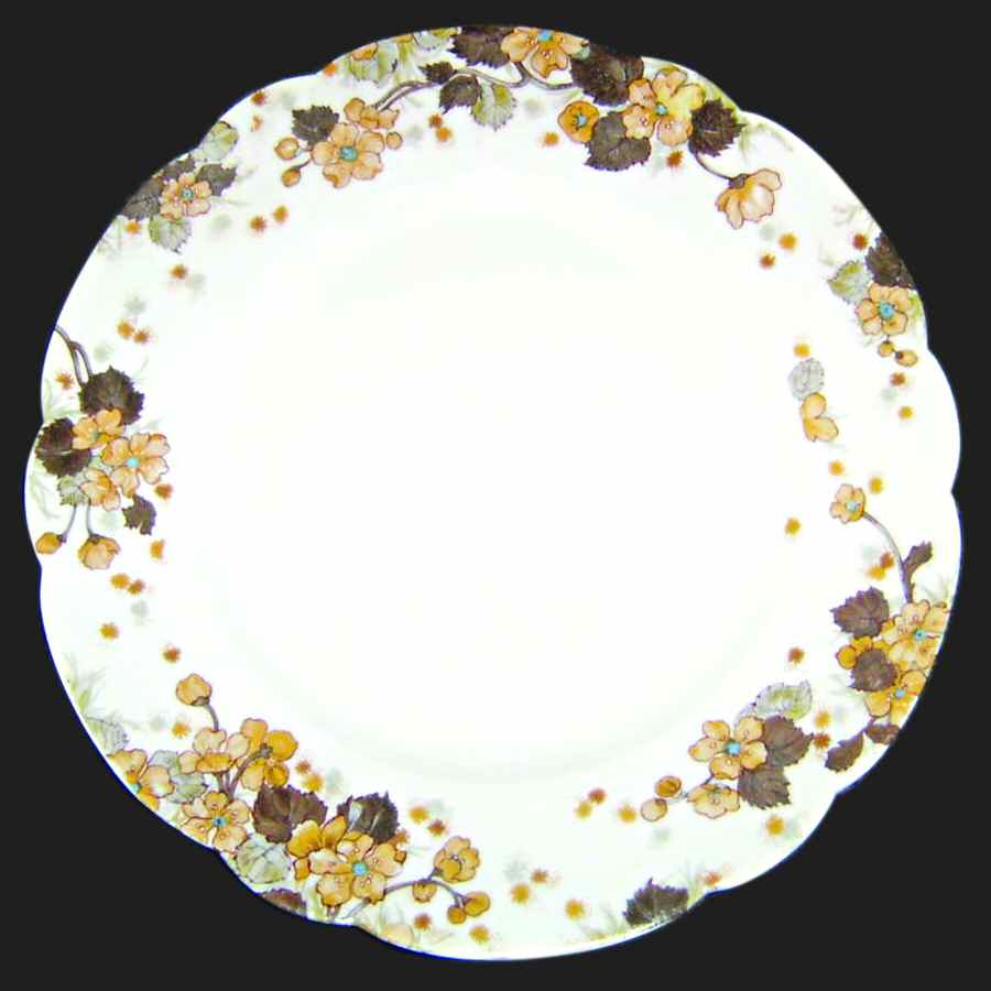 H3506 Dinner Plate by Haviland-1