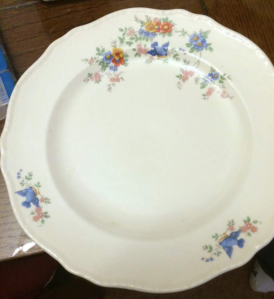 HLC3635 Dinner Plate by Homer Laughlin -1