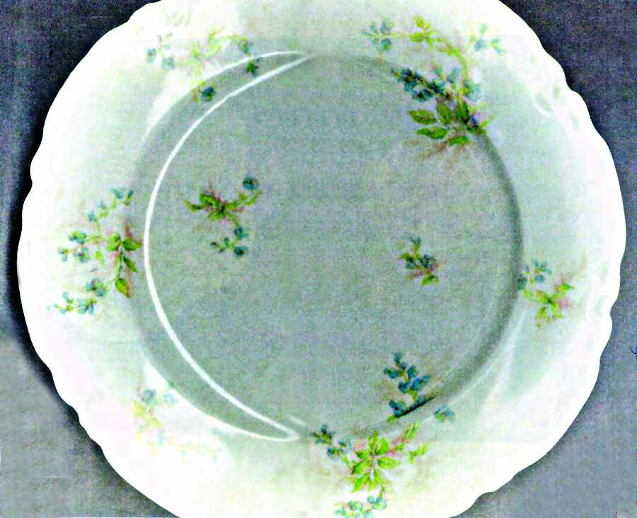 H3423 Dinner Plate by Haviland-1