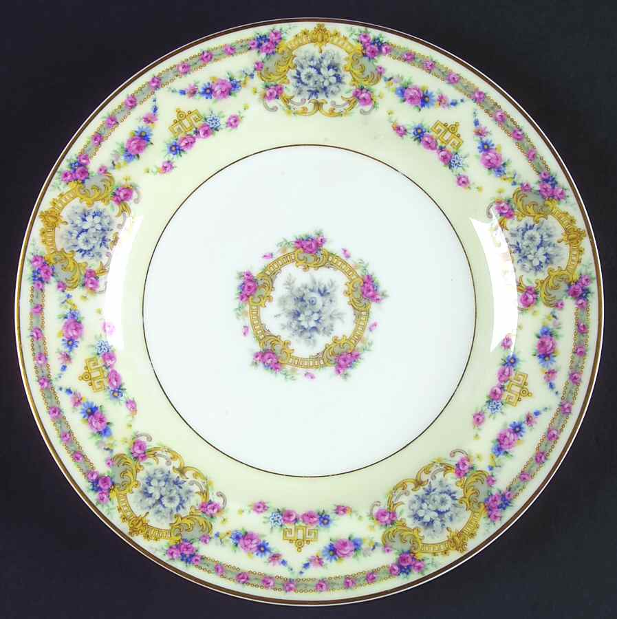 H753 (Wide Rim) Dinner Plate by Haviland-1